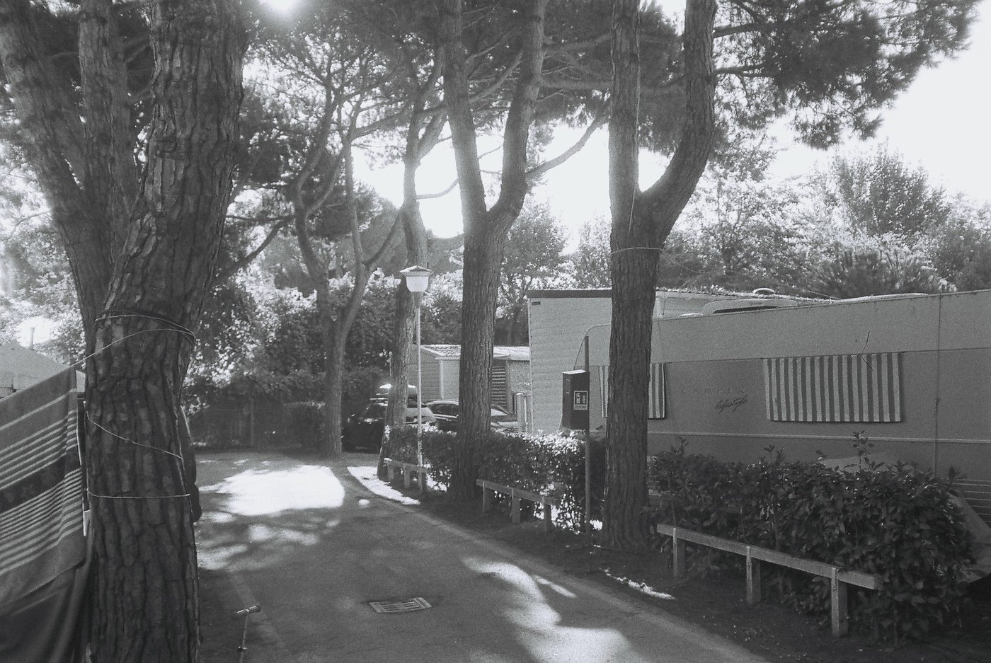 Viale di un campeggio al mare in controluce, tra tronchi di pini marittimi, siepi basse e roulotte con le tende a righe. Fotografia analogica in bianco e nero su pellicola 35mm, scattata con Canon Snappy 50.