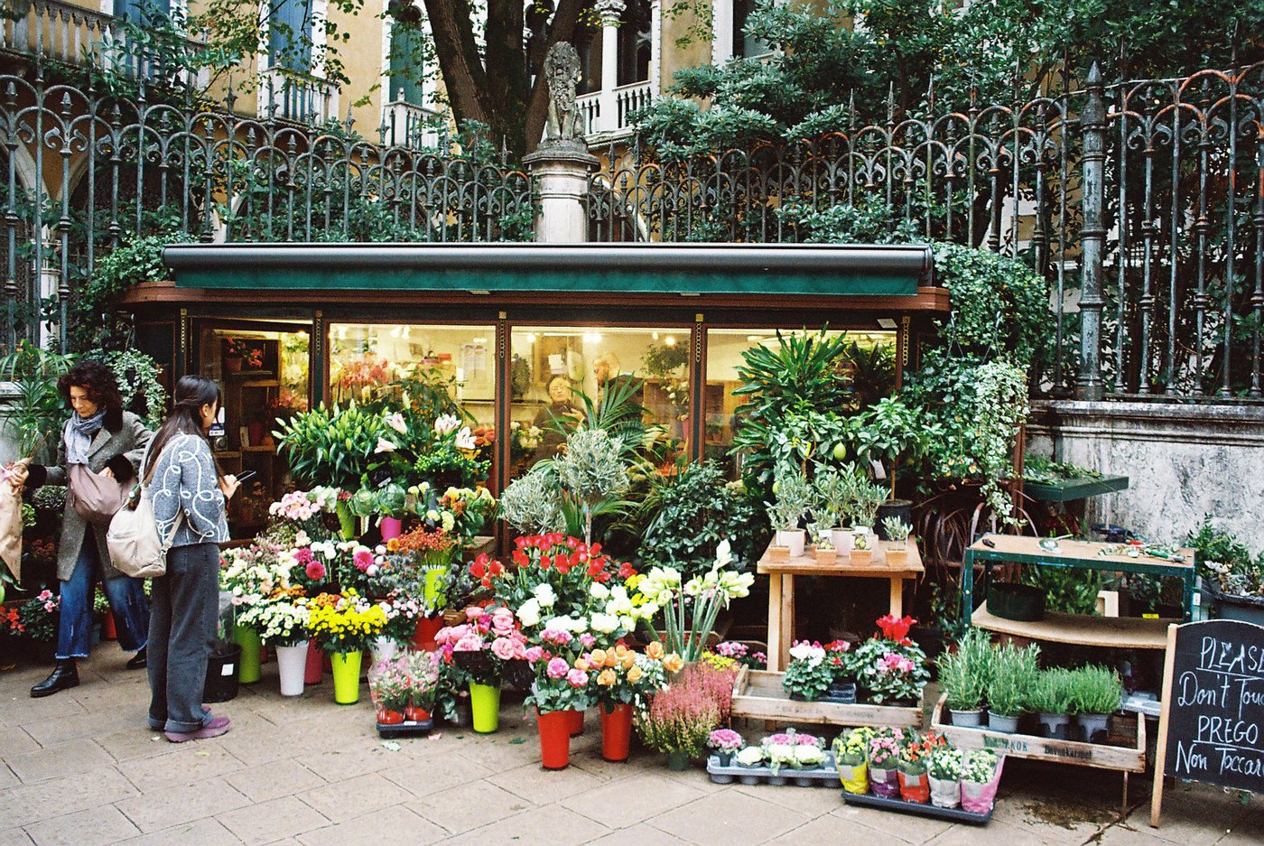 Chiosco di fiori illuminato davanti a una cancellata in ferro battuto con un leone di pietra, secchi colorati di rose, crisantemi e piante aromatiche sul selciato. Fotografia analogica su pellicola a colori 35mm.