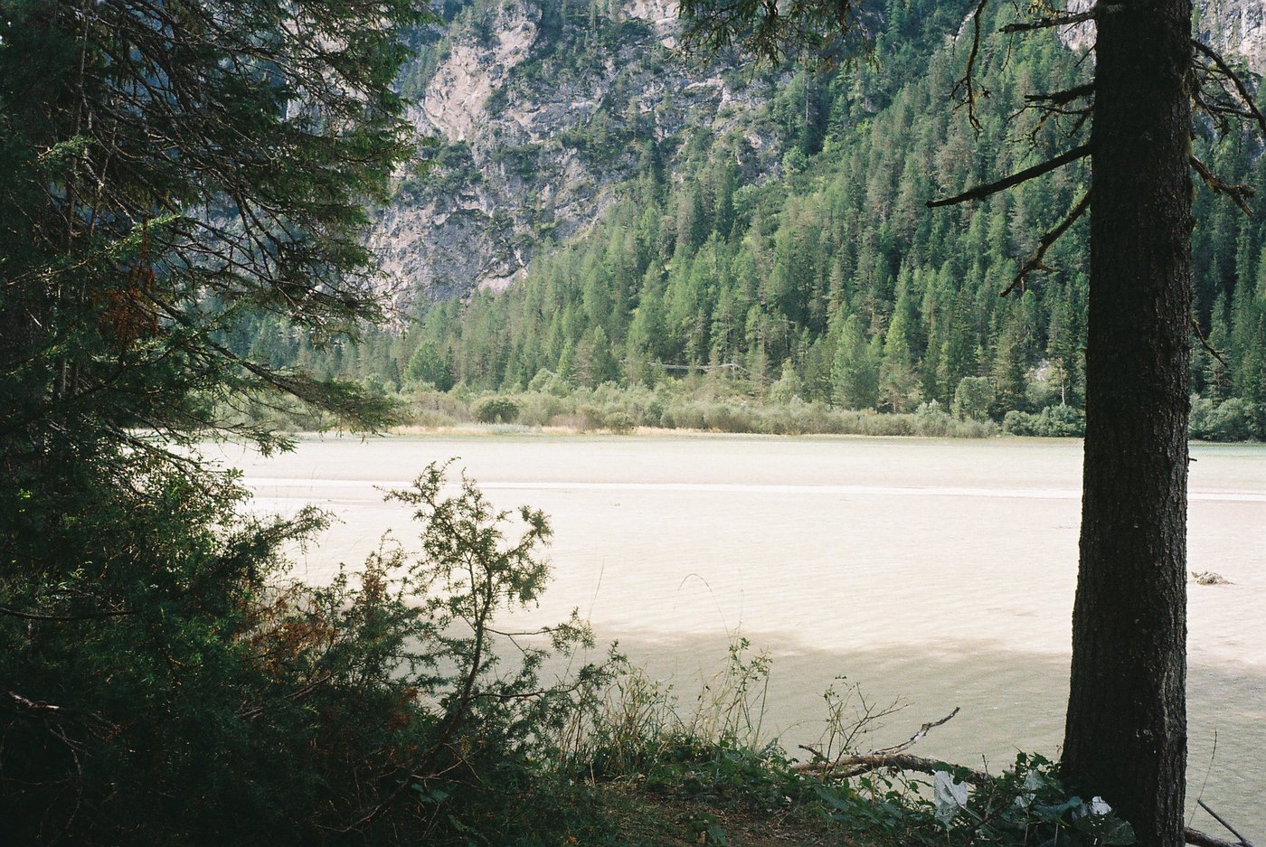 Acqua verde-latte di un lago alpino vista tra i tronchi dei larici, con la parete boscosa della montagna sull'altra sponda. Paesaggio su pellicola Kodak Gold 200, scattata con Olympus Trip 35.