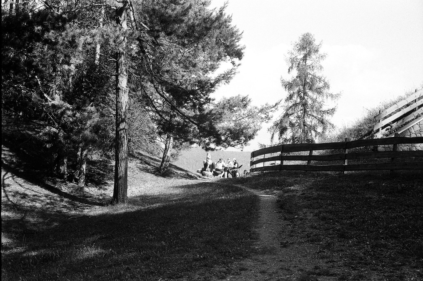 Persone sedute su una panchina in cima a un prato, tra un pino, un larice e una staccionata che segue il pendio. Fotografia analogica in bianco e nero su pellicola 35mm, scattata con Minolta Hi-Matic 7s.