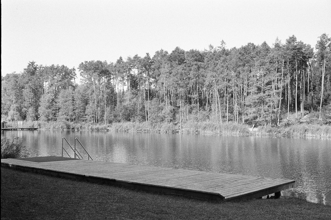 Pontile di legno con la scaletta che si allunga in un lago immobile, chiuso dalla parete di pini sull'altra sponda. Fotografia analogica in bianco e nero su pellicola 35mm, scattata con Minolta Hi-Matic 7s.