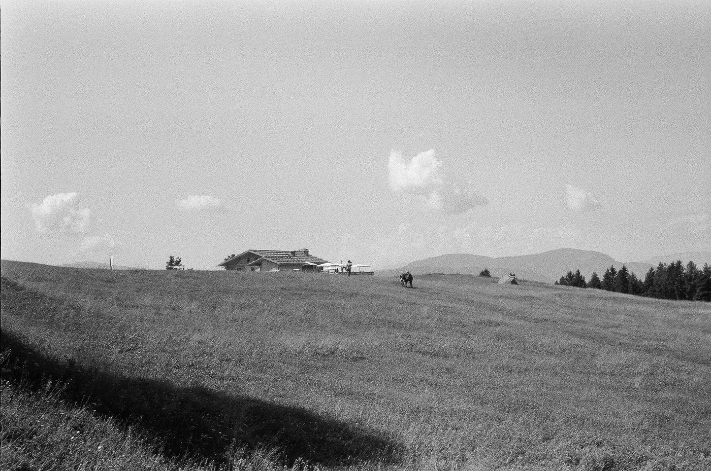 Grande prato in pendenza sotto un cielo aperto, con una malga e una mucca al pascolo che spuntano sul crinale. Paesaggio alpino in bianco e nero su pellicola 35mm, scattato con Minolta Hi-Matic 7s in Alto Adige.