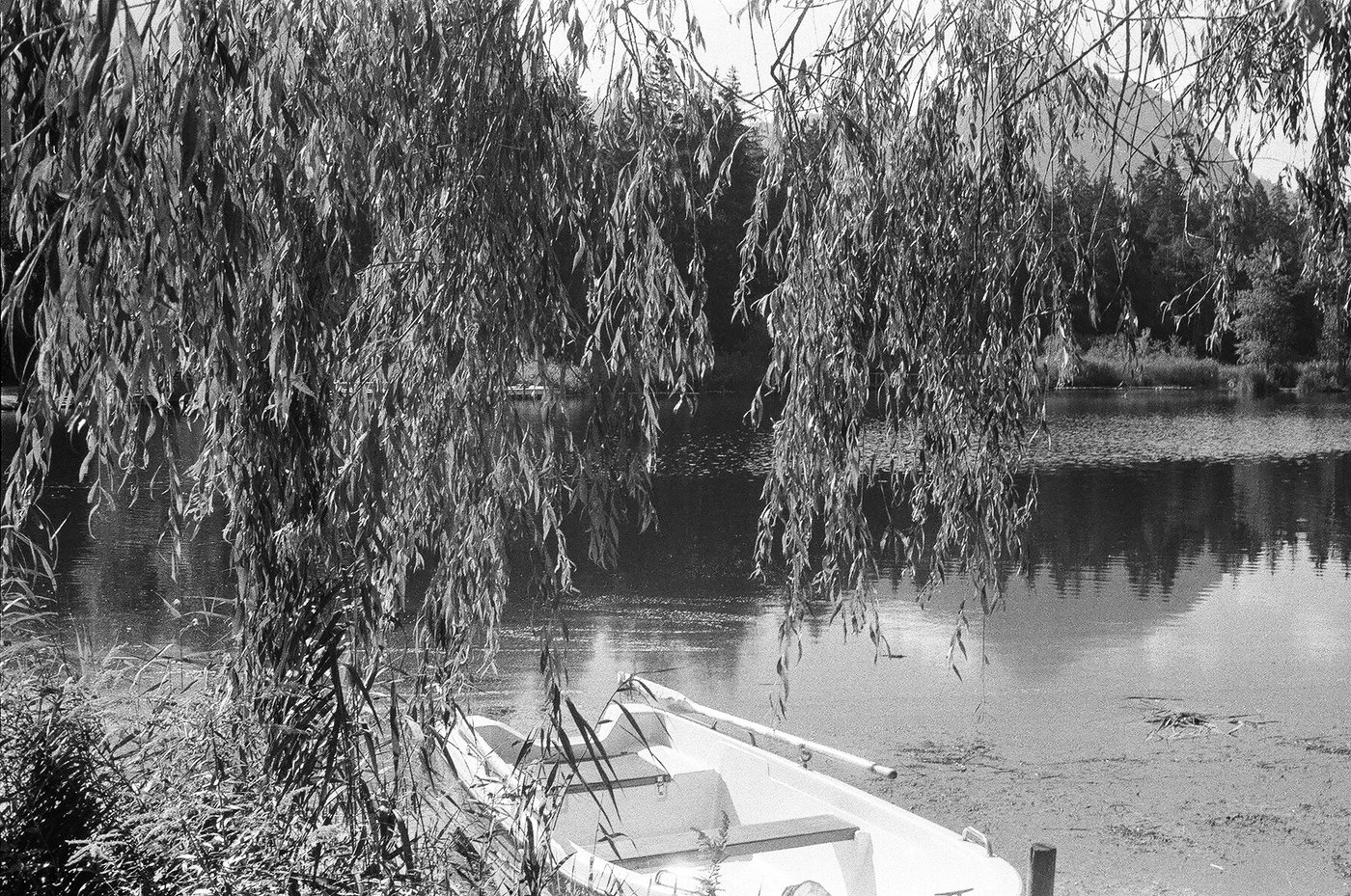 Rami di un salice piangente che scendono sull'acqua di un lago, con una barca a remi bianca ormeggiata in basso. Fotografia analogica in bianco e nero su pellicola 35mm, scattata con Minolta Hi-Matic 7s.